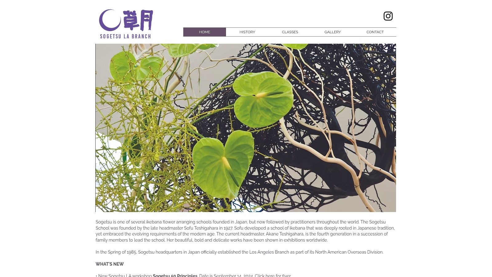 A striking Sogetsu Ikebana arrangement featuring a single large leaf and delicate branches in a low, wide vase.