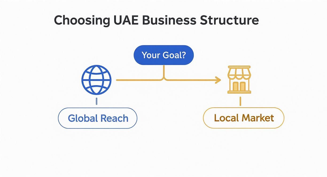 Flowchart for choosing a UAE business structure based on global reach or local market goals.