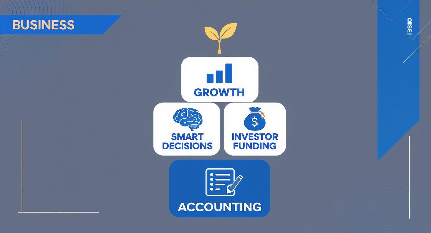 Infographic about accounting and bookkeeping service for small businesses