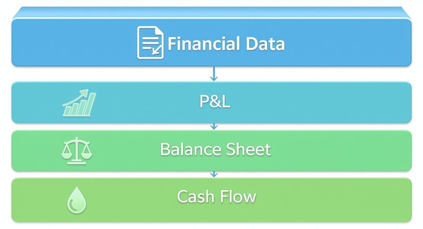 Infographic showing how Financial Data is broken down into Profit & Loss Statements, Balance Sheets, and Cash Flow Statements.