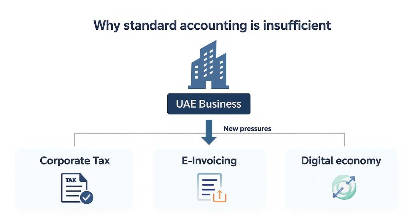 Infographic showing that a UAE business is under new pressures from Corporate Tax, E-Invoicing, and a Digital Economy.