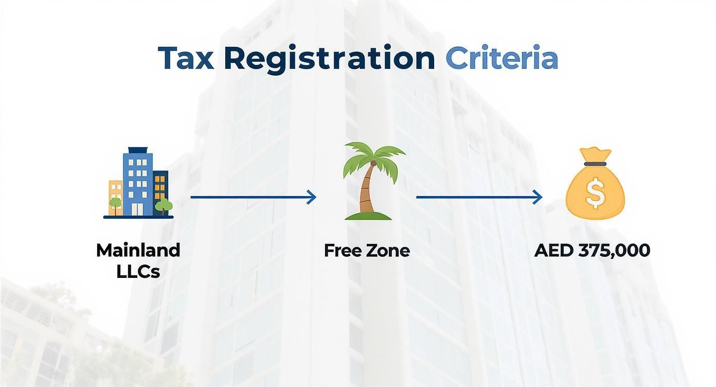 Infographic illustrating tax registration criteria for Mainland LLCs and Free Zone entities with a 375,000 AED threshold.