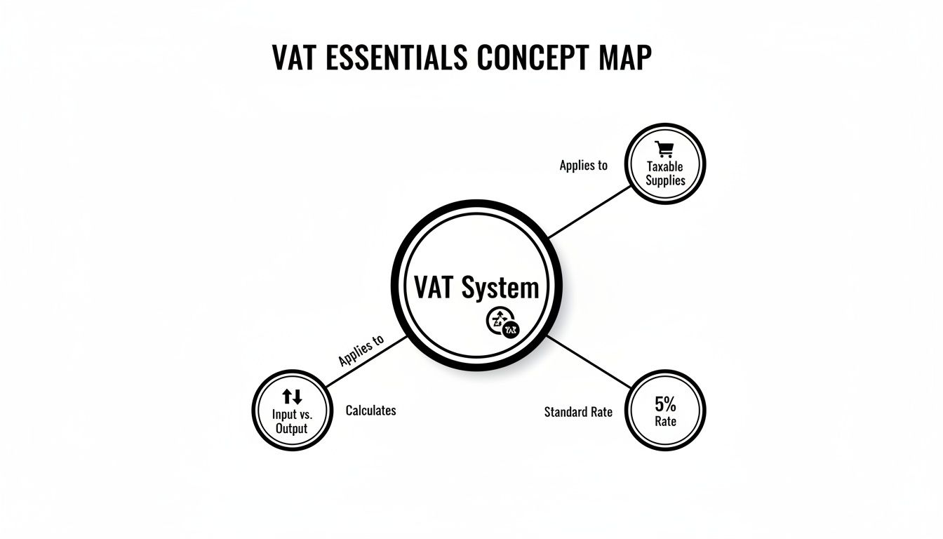 A concept map illustrating the VAT system essentials, including taxable supplies, input vs. output, and 5% rate.