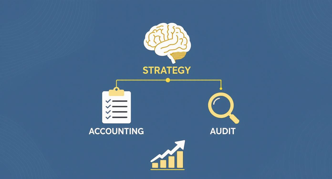 Infographic about Audit and accounting services in Dubai
