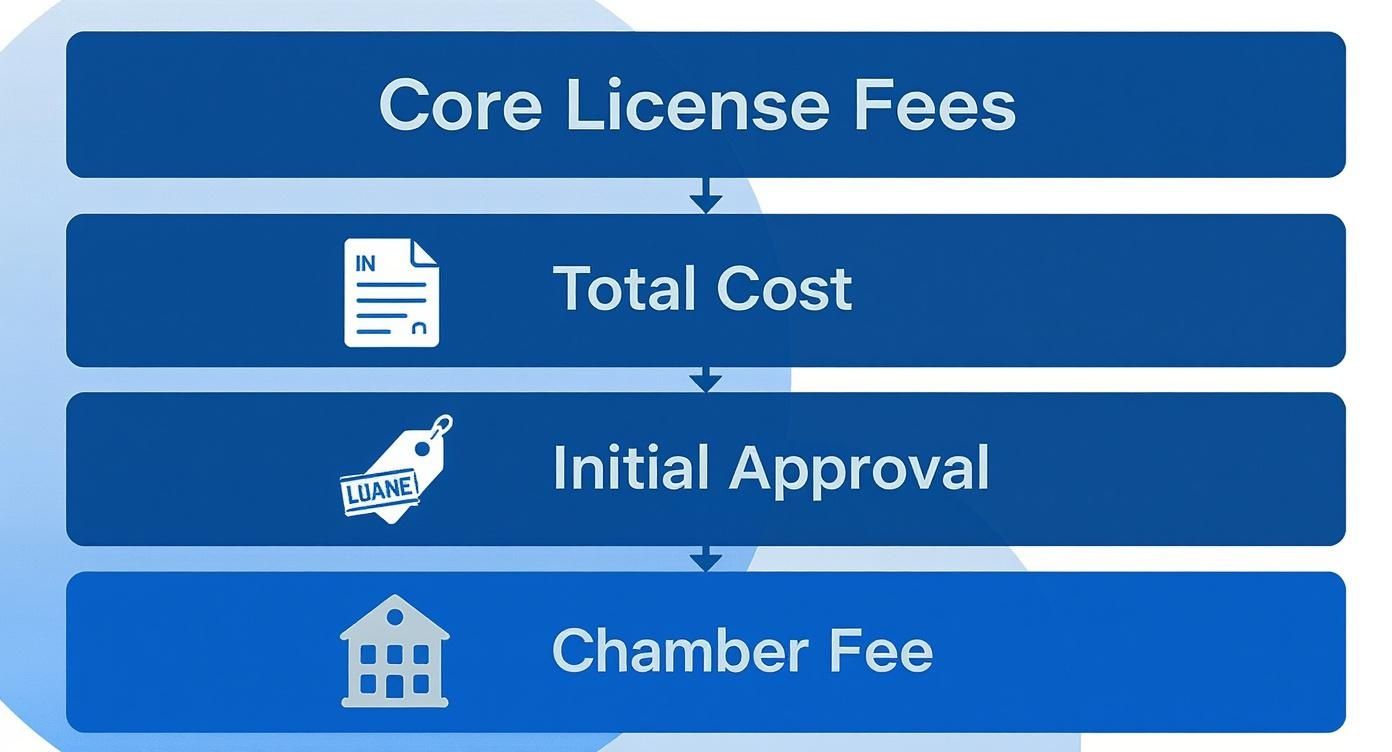 A blue flowchart detailing steps: Core License Fees, Total Cost, Initial Approval, and Chamber Fee.