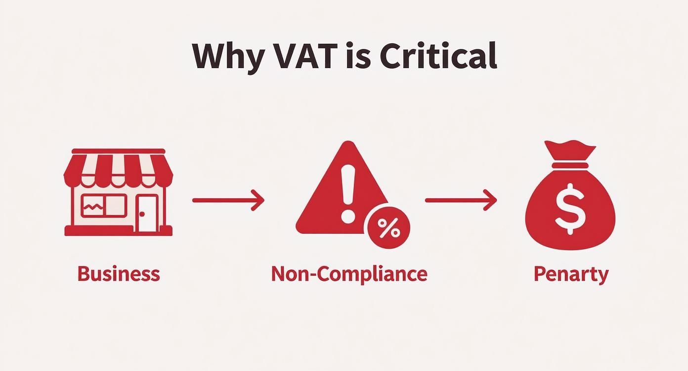 Infographic about VAT accounting services Dubai