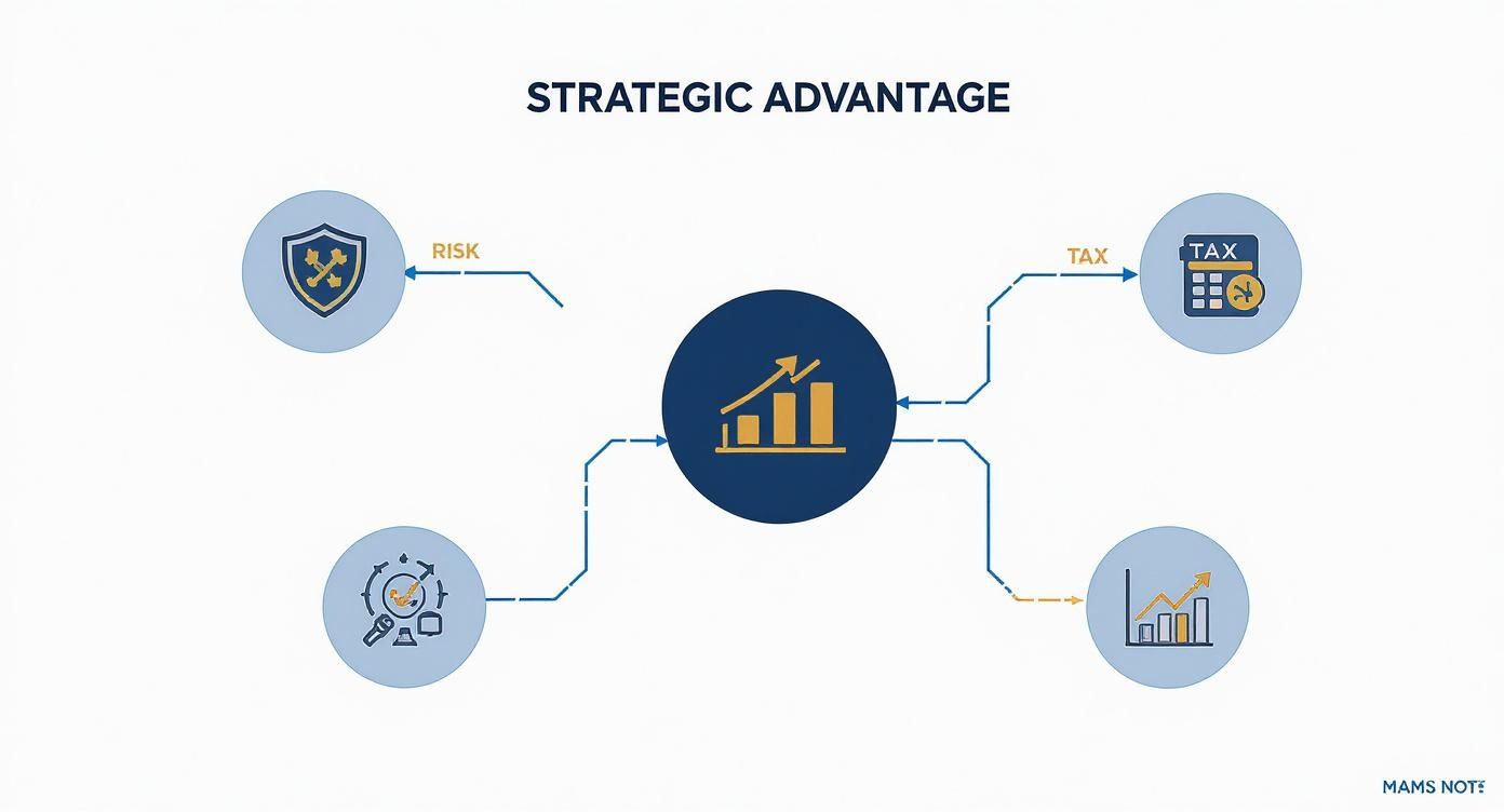 Infographic about Certified accounting services Dubai