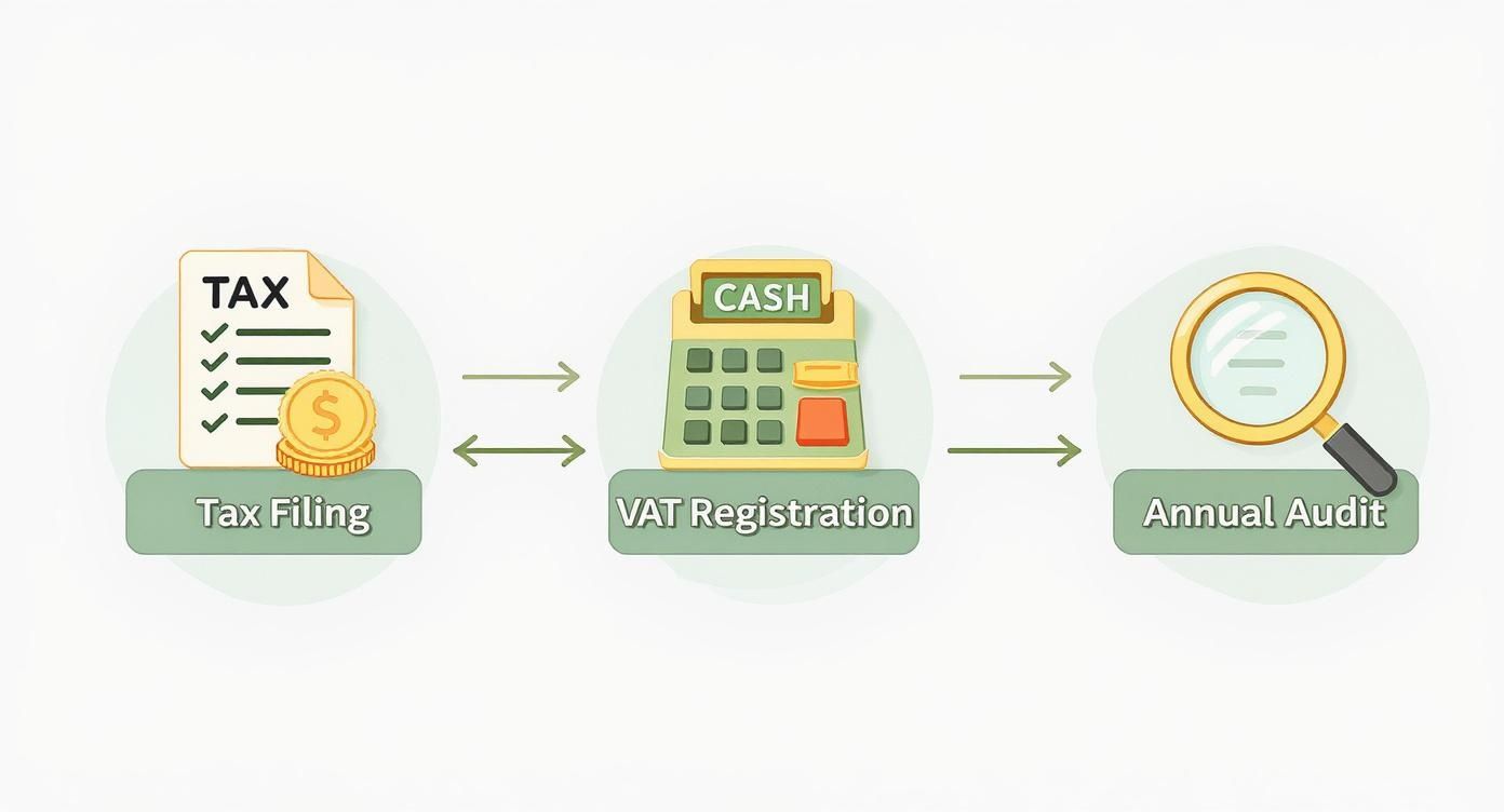 A diagram illustrating the steps for tax filing, VAT registration, and annual audit.