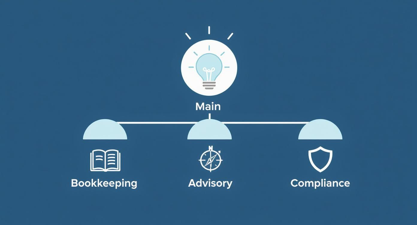 Infographic about accountant service