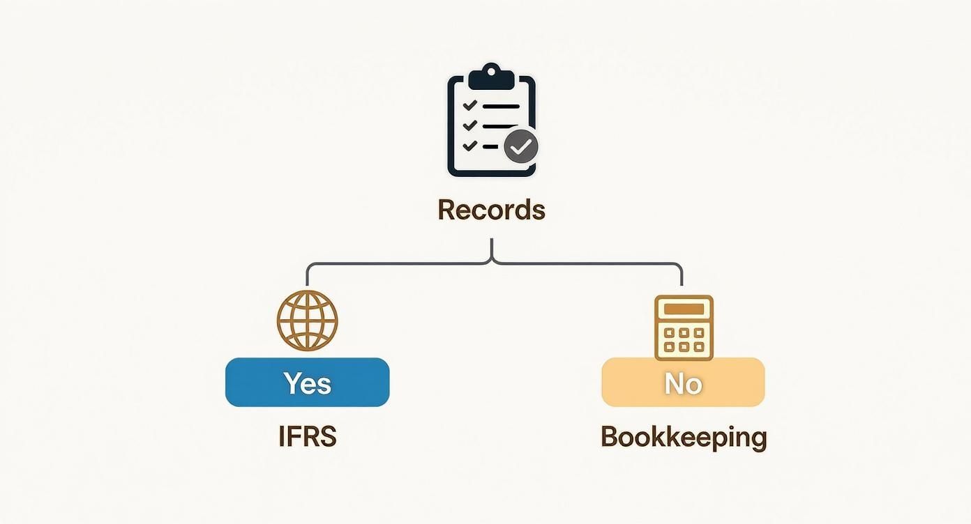 Infographic about Accounting services for Dubai Free Zone companies
