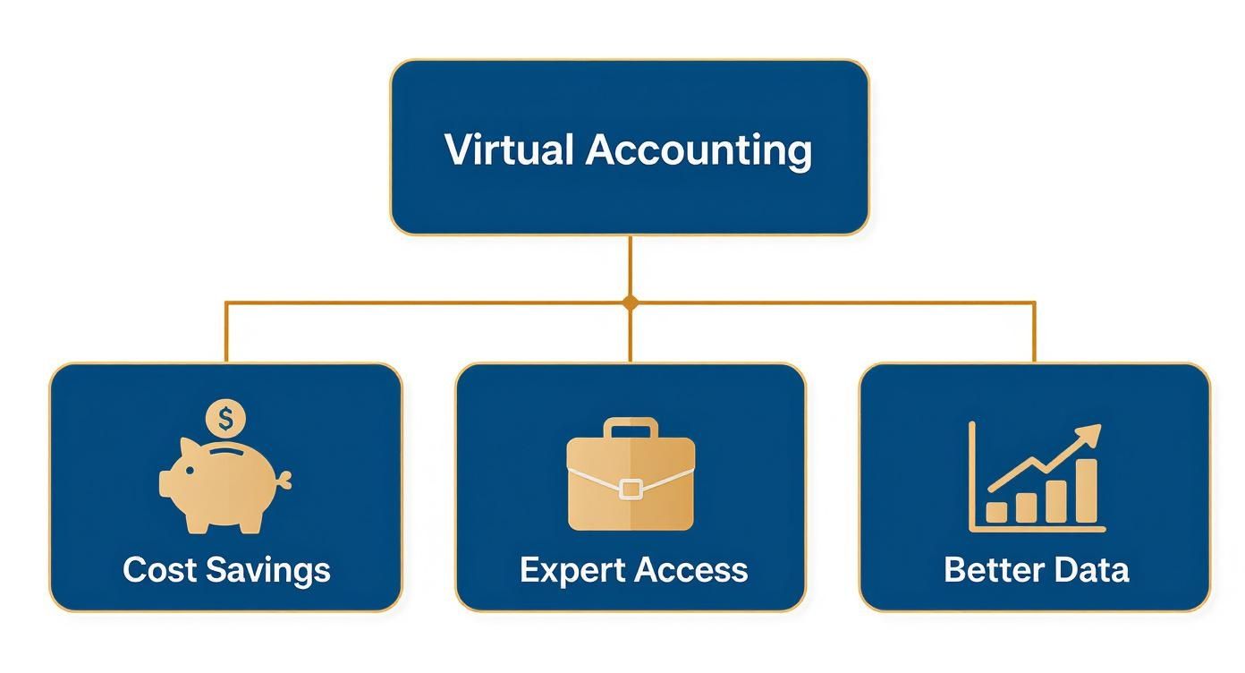 Infographic about virtual accounting services