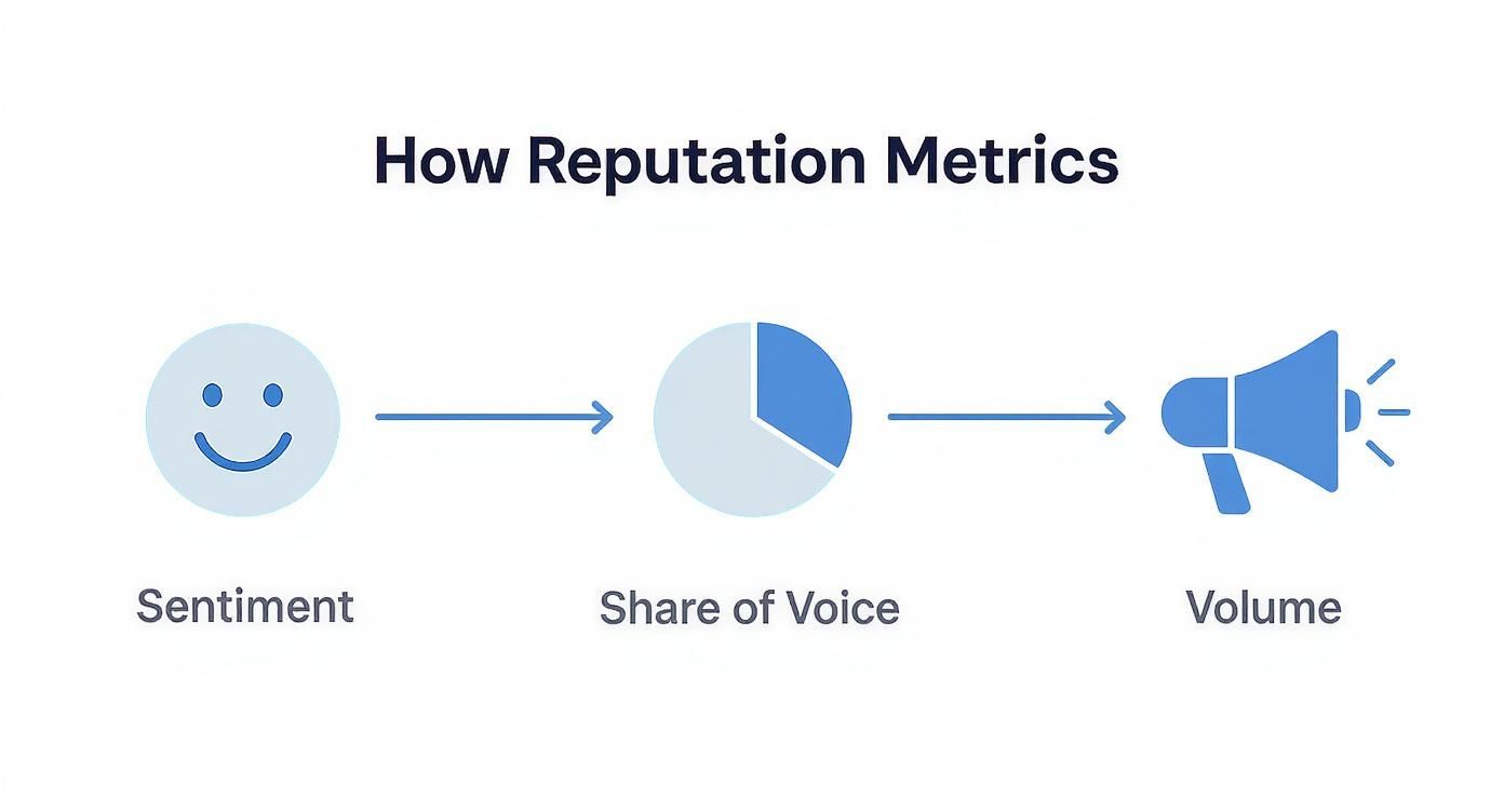 Infographic showing three reputation metrics: sentiment with smiley face, share of voice pie chart, and volume megaphone icon