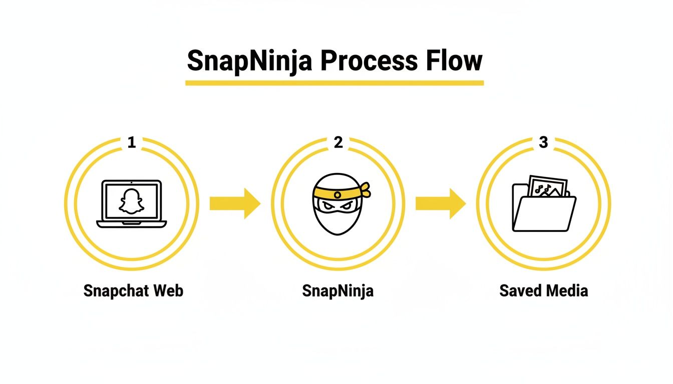 A three-step process flow showing how SnapNinja saves media from Snapchat Web.