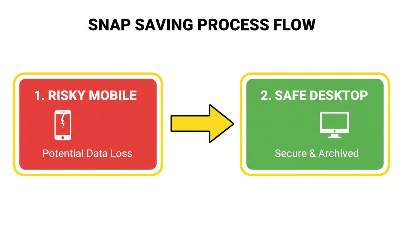 A process flow diagram showing the snap saving process from risky mobile to safe desktop.