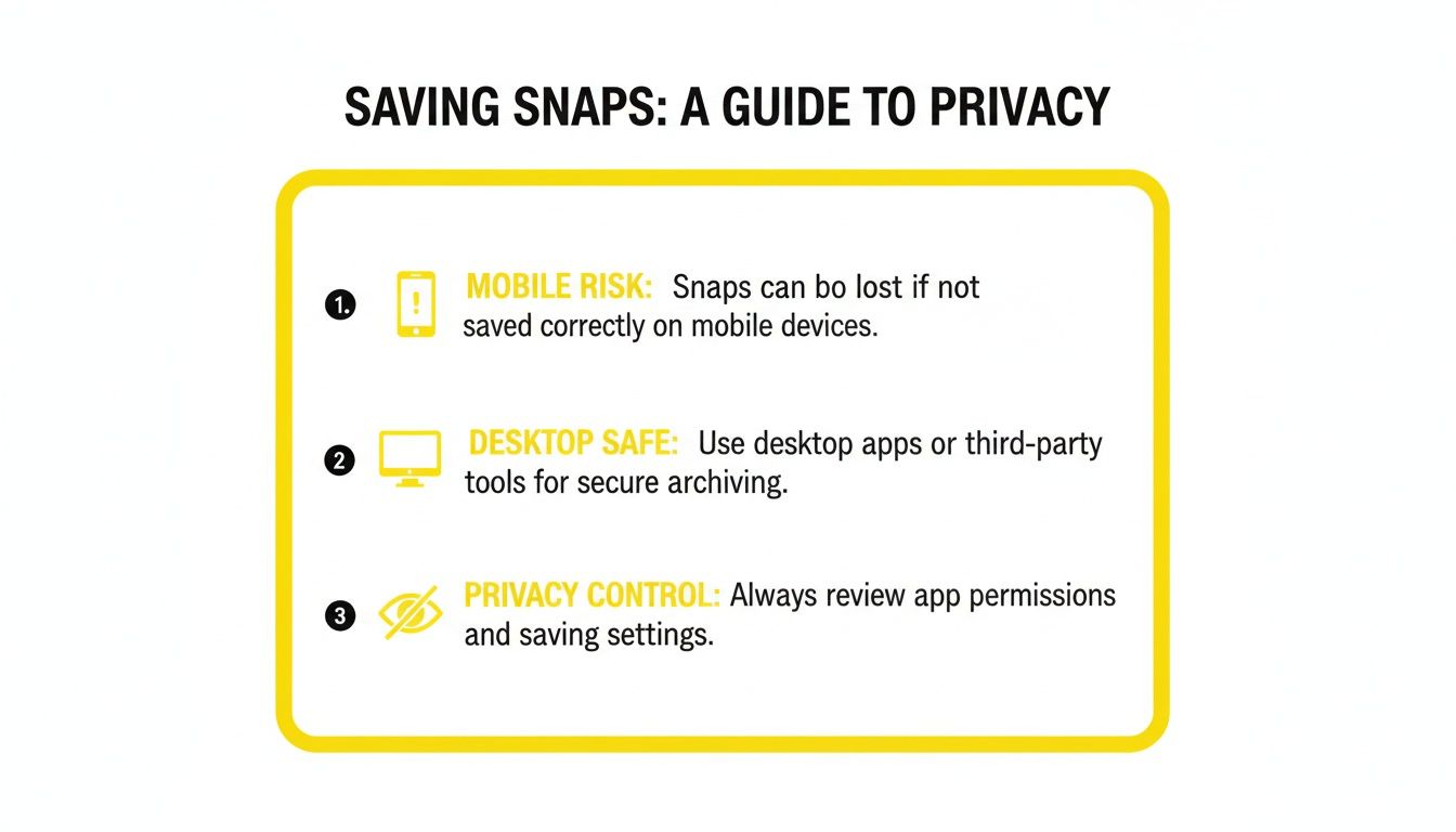 A guide on saving snaps securely, covering mobile risks, desktop archiving, and privacy settings.