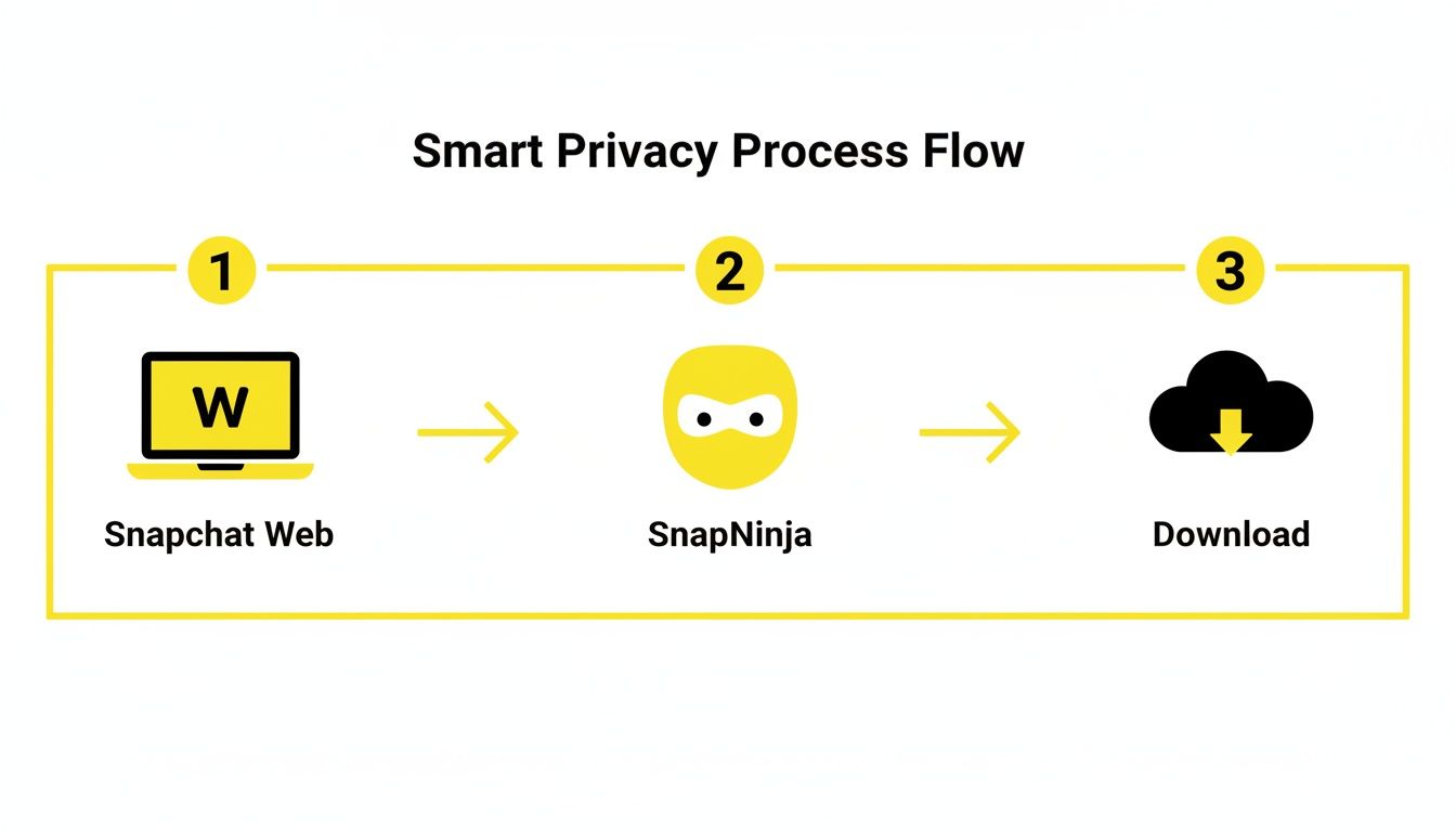 A diagram illustrating the Smart Privacy Process Flow, showing Snapchat Web leading to SnapNinja then Download.