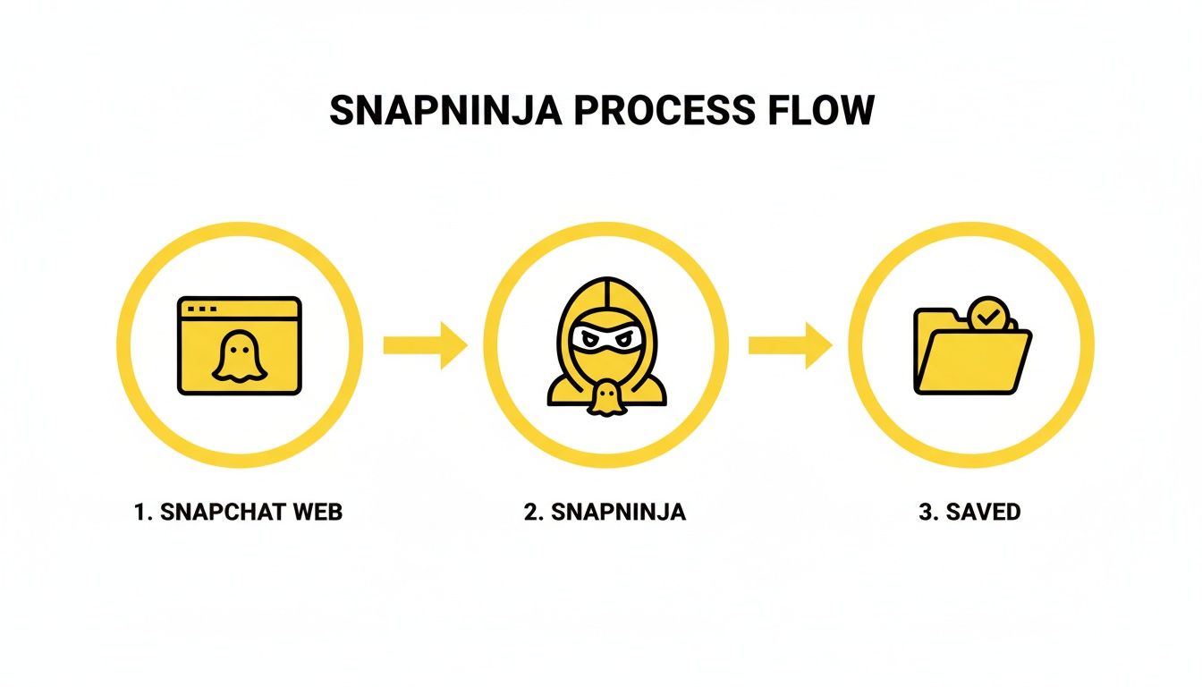 A three-step process flow showing how Snapninja works: from Snapchat web, to Snapninja, then saved.