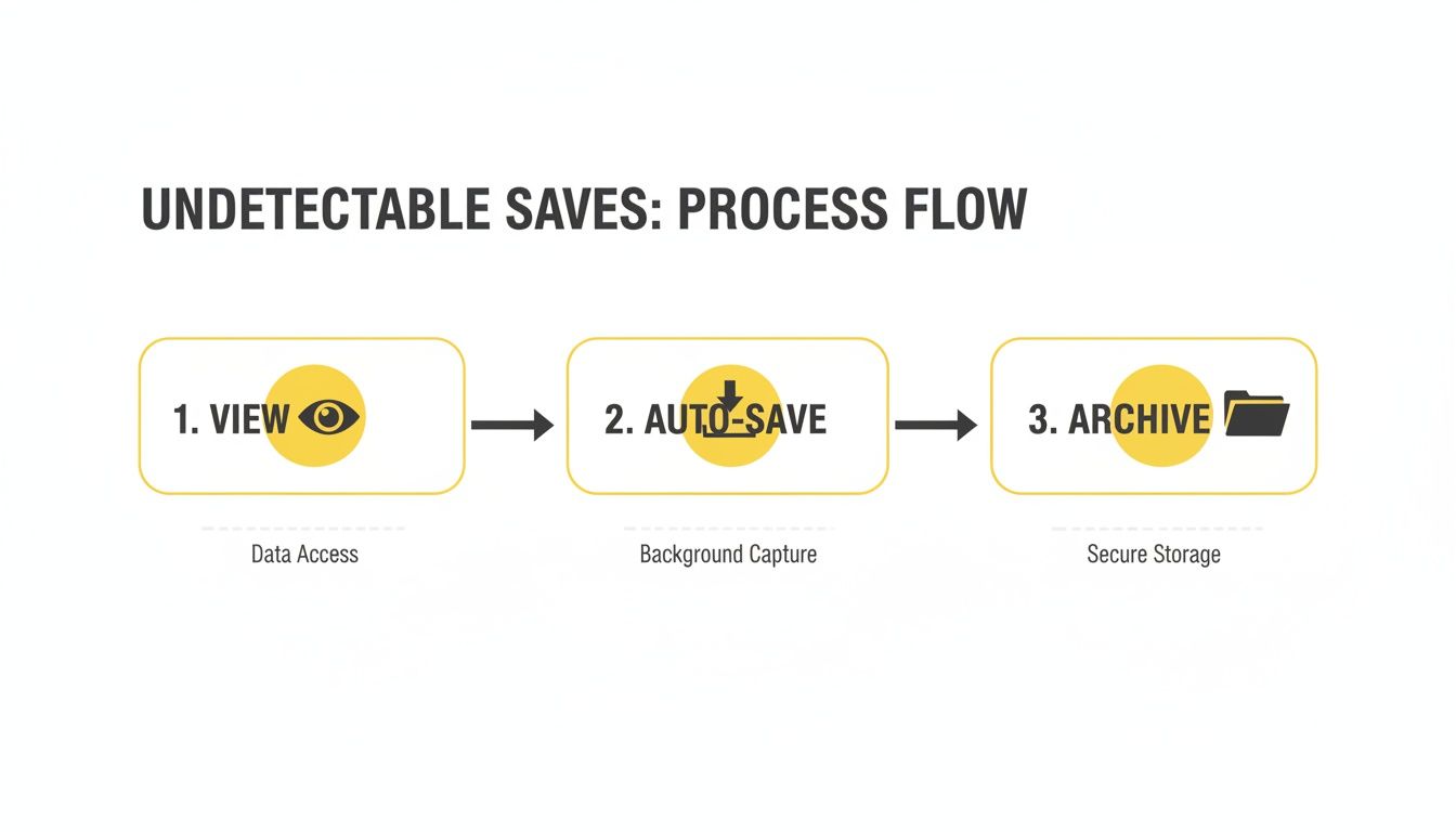 A three-step process flow diagram illustrating undetectable saves: data access, background capture, and secure storage.