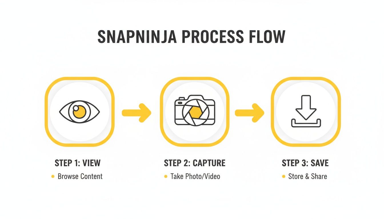 Snapninja workflow diagram detailing three steps: view content, capture photo/video, and save.