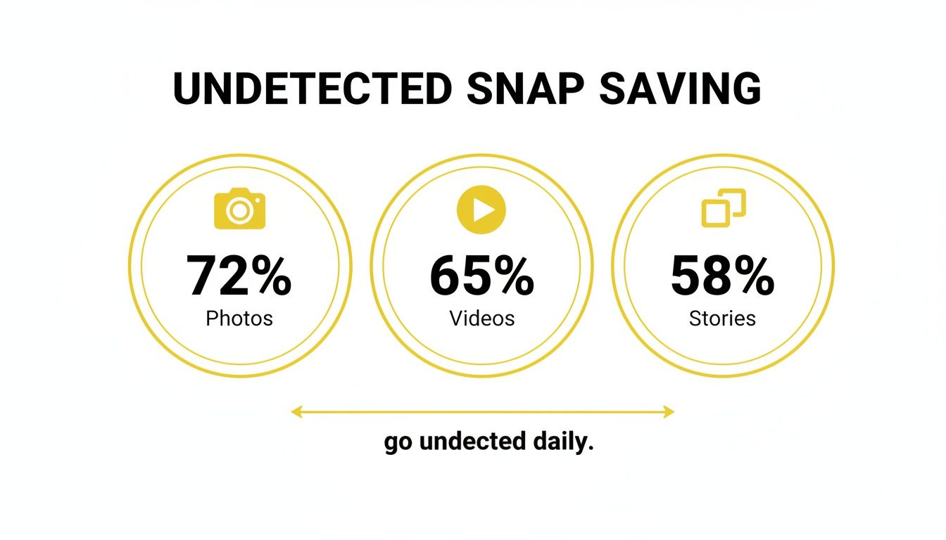 Infographic showing 72% photos, 65% videos, and 58% stories are saved undetected daily.