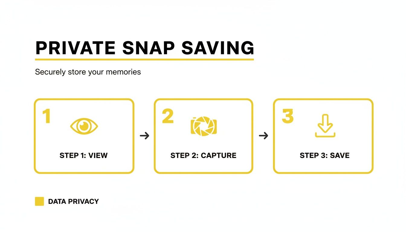 A diagram illustrating three steps for private snap saving: view, capture, and save, emphasizing data privacy.