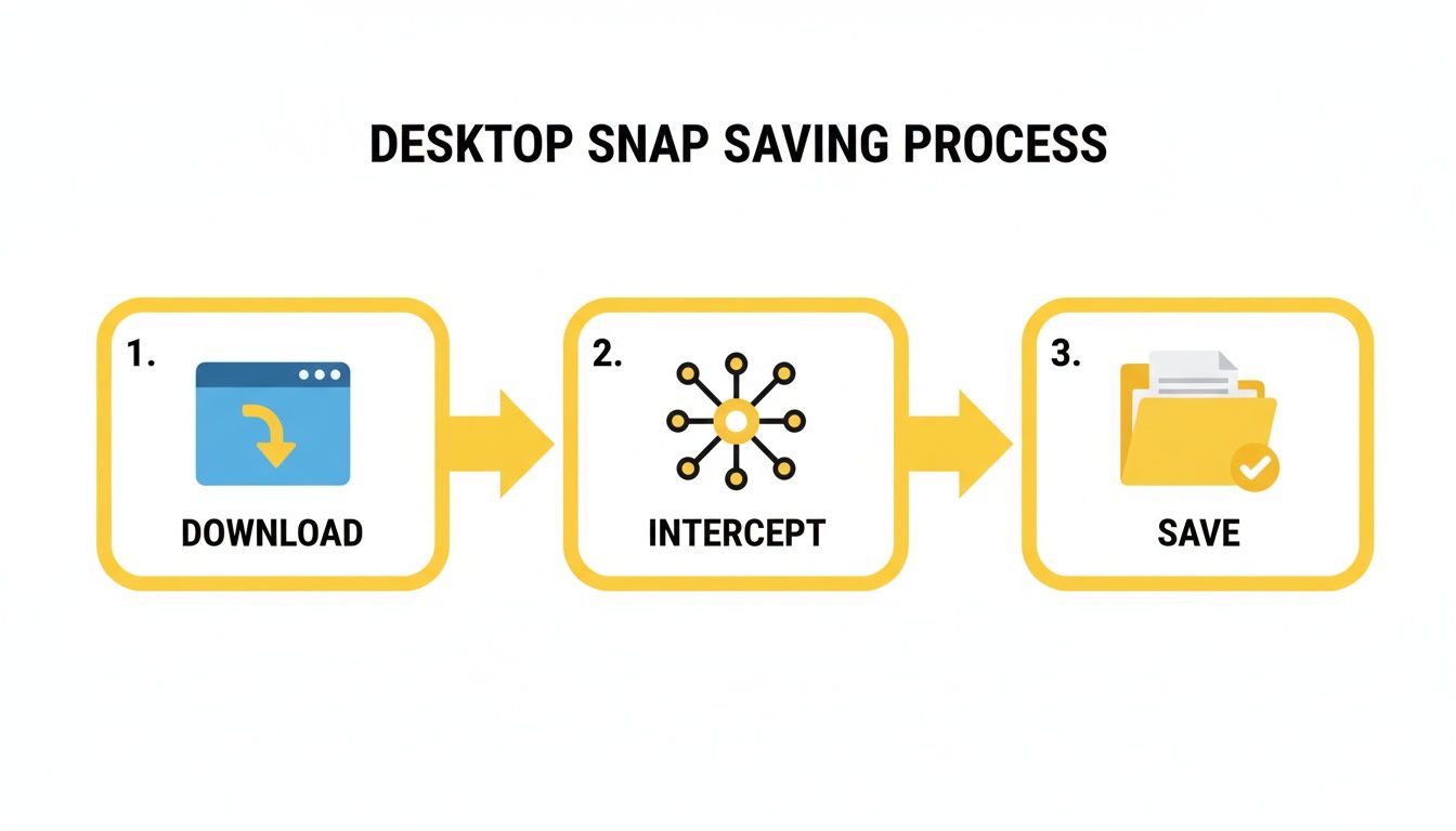 A three-step diagram illustrating the Desktop Snap Saving Process: Download, Intercept, and Save.