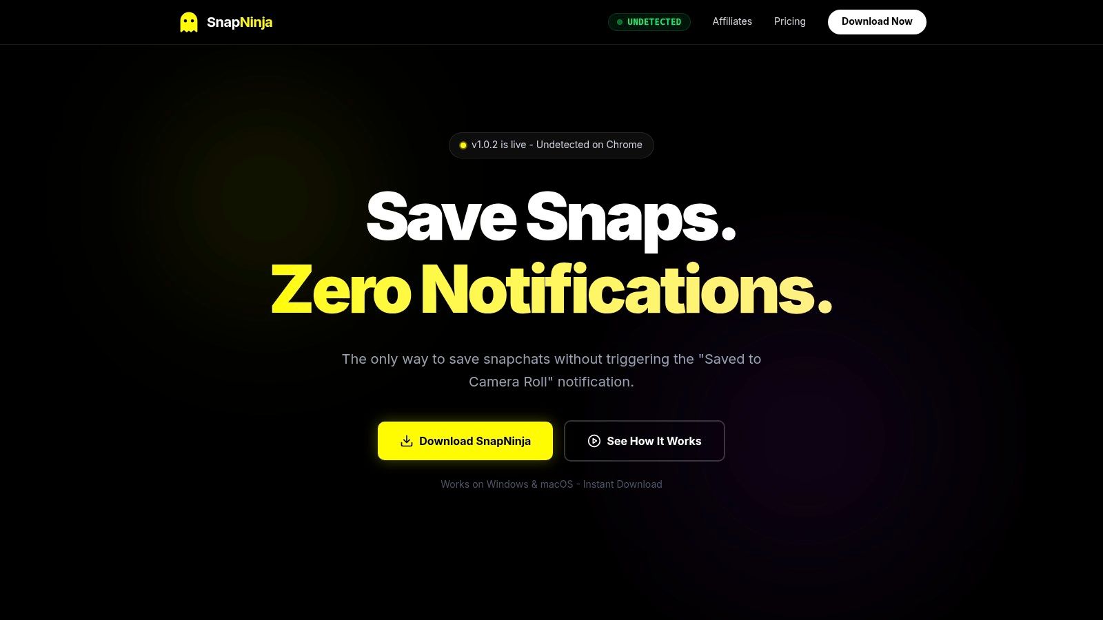 A screenshot of the SnapNinja application interface showing its connection status to Snapchat Web and options for saving media.