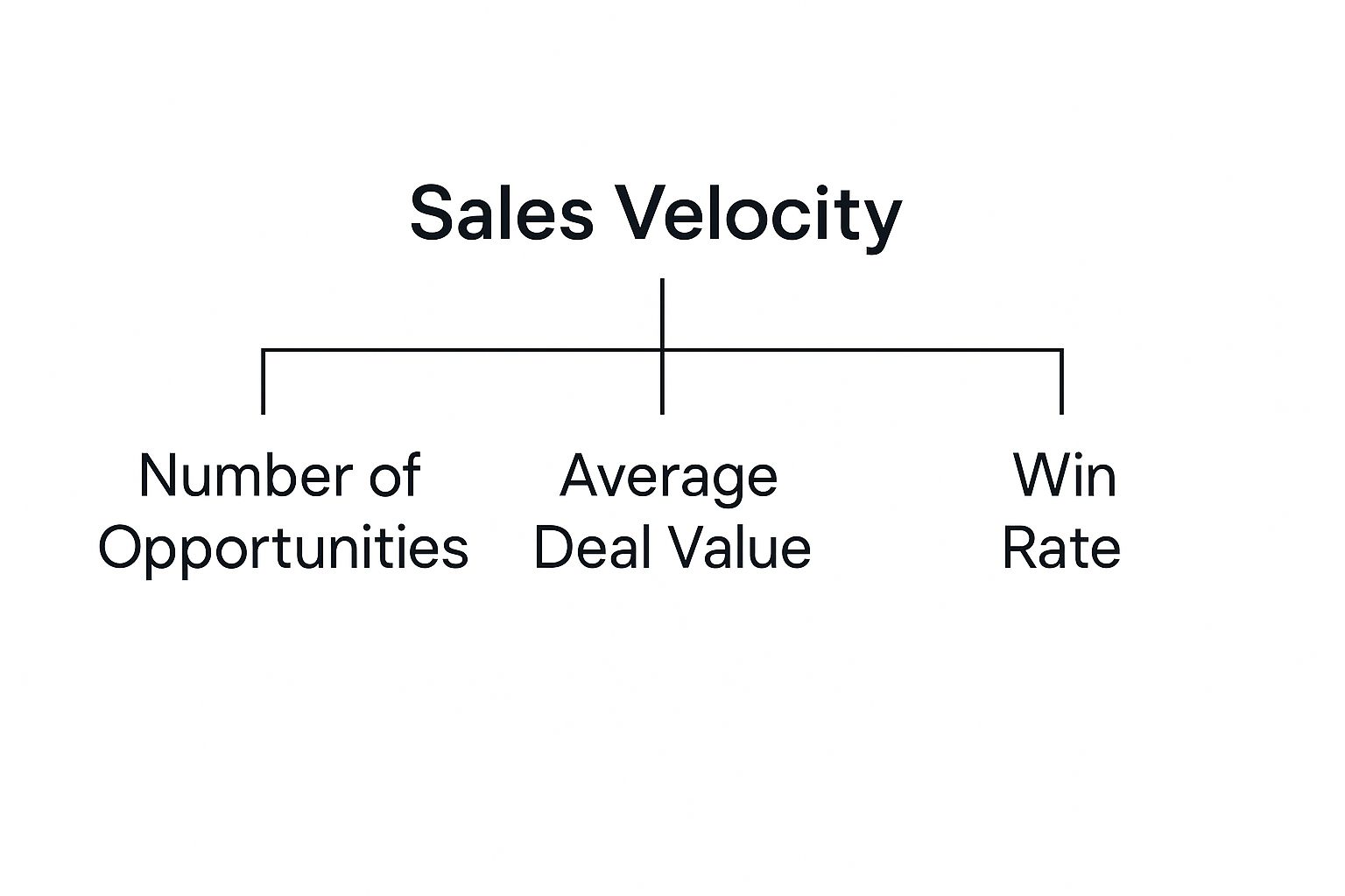 Infographic about sales velocity formula