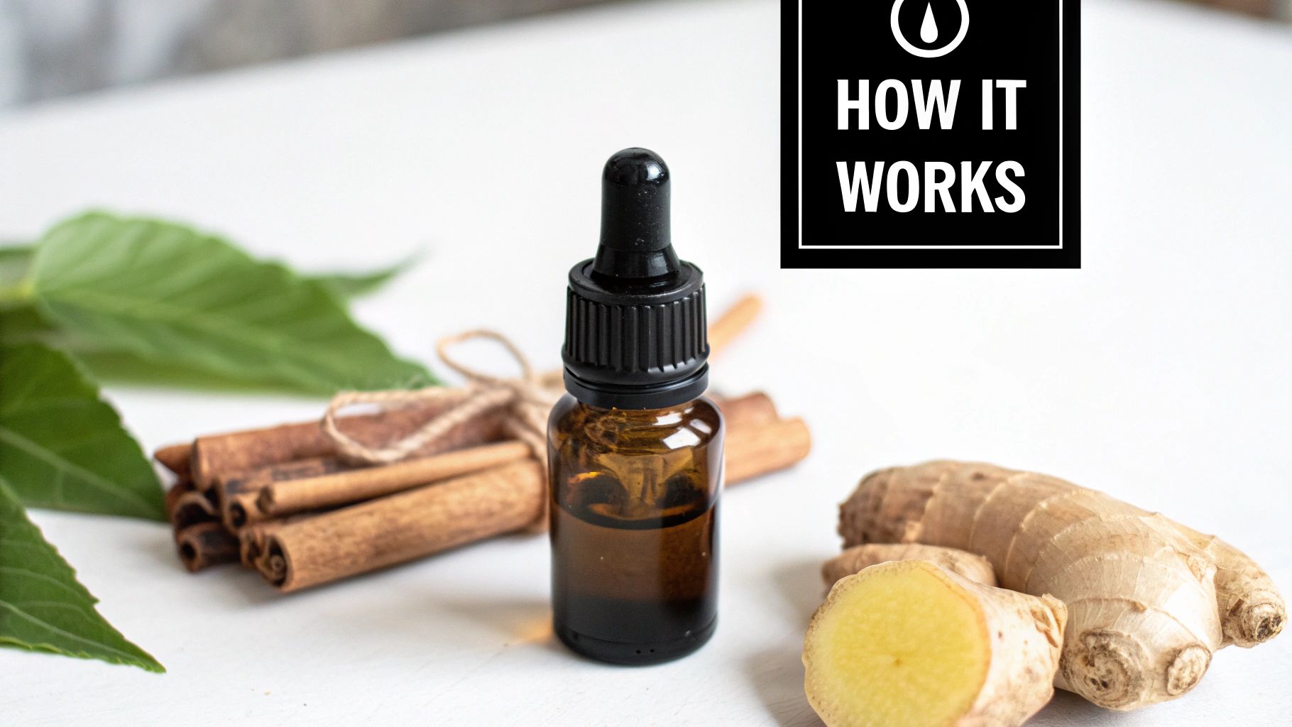 An amber dropper bottle, cinnamon sticks, ginger root, and green leaves on a white surface with 'HOW IT WORKS' overlay.