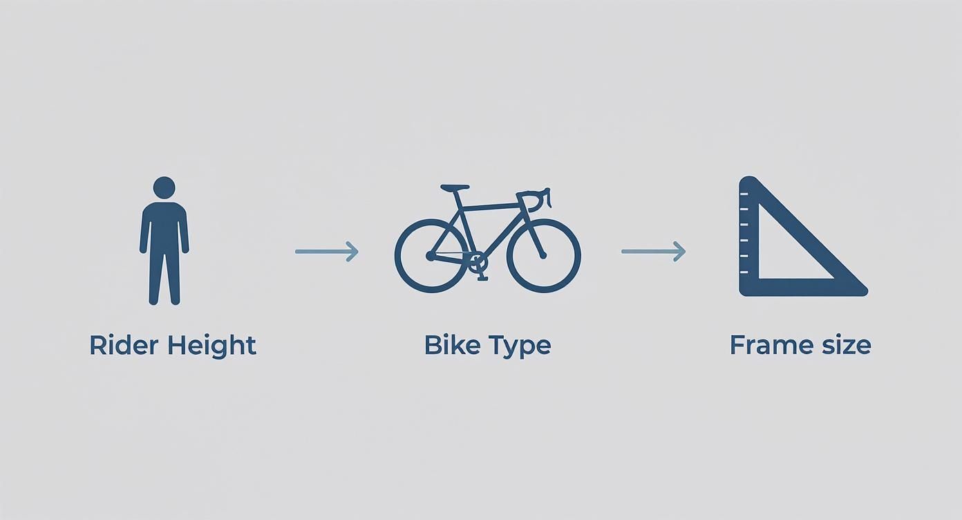 Infographic about bike frame size chart