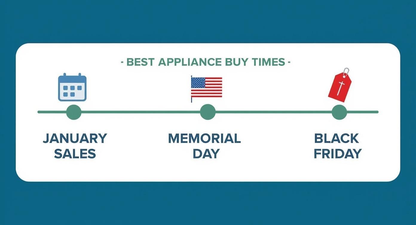 Infographic about when to buy appliances
