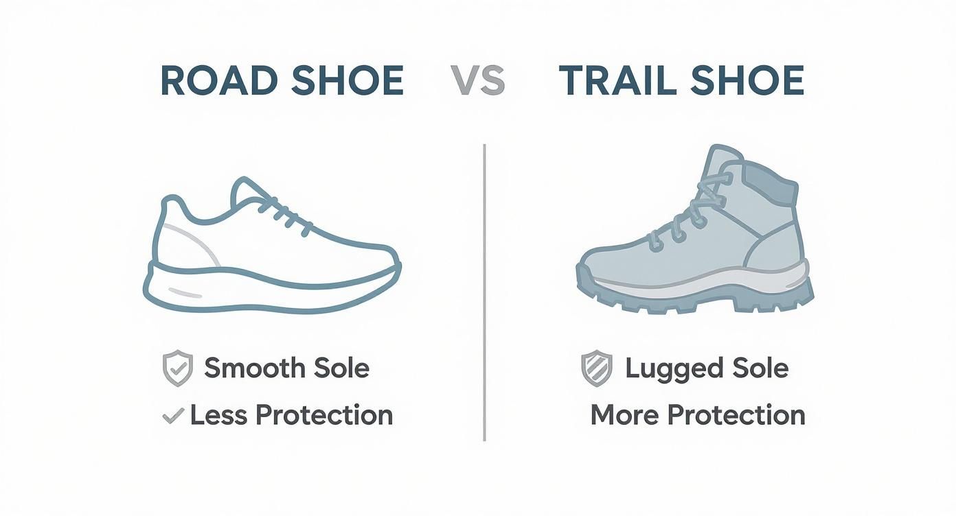 Comparison infographic showing road shoe with smooth sole versus trail shoe with lugged sole and protection features