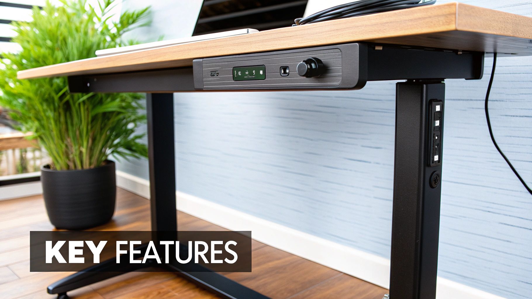 Close-up of a wooden standing desk showing under-desk control panel, leg controls, and a potted plant.