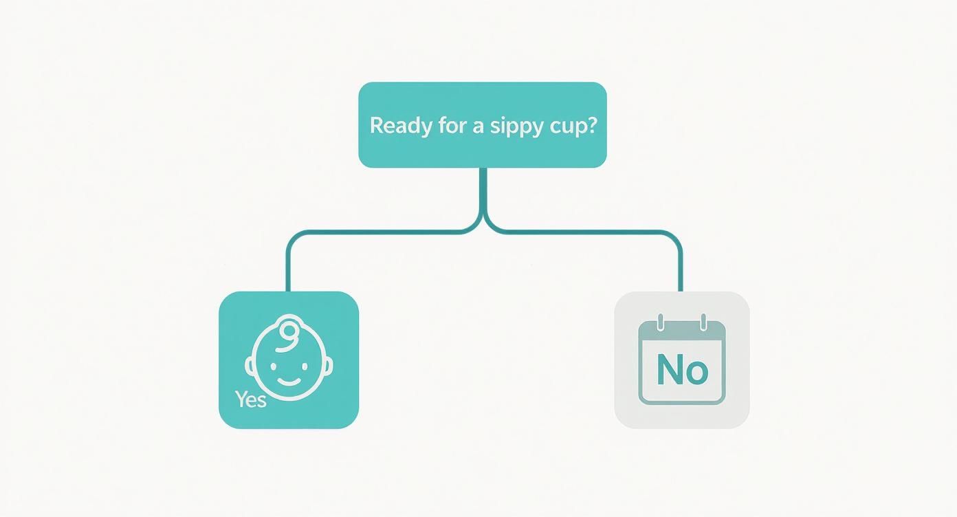 Infographic about how to go from bottle to sippy cup