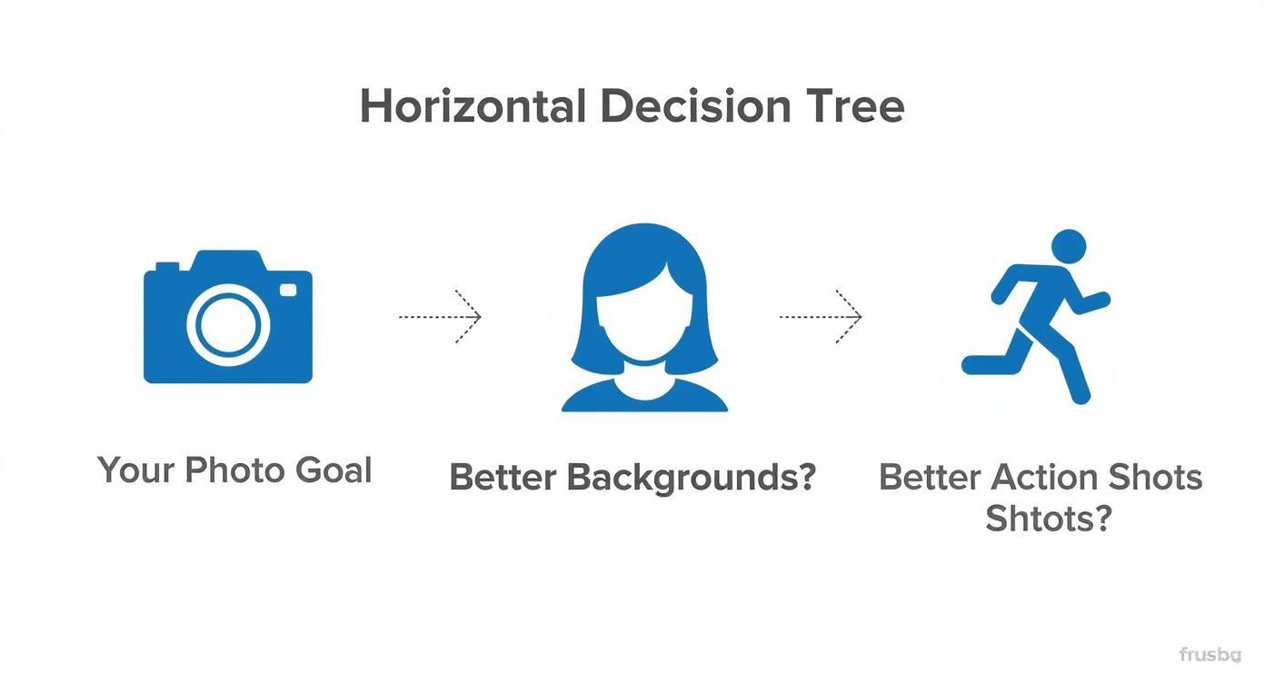 Infographic about best mirrorless cameras for beginners
