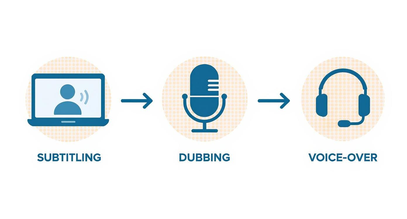 Infographic about video translation services