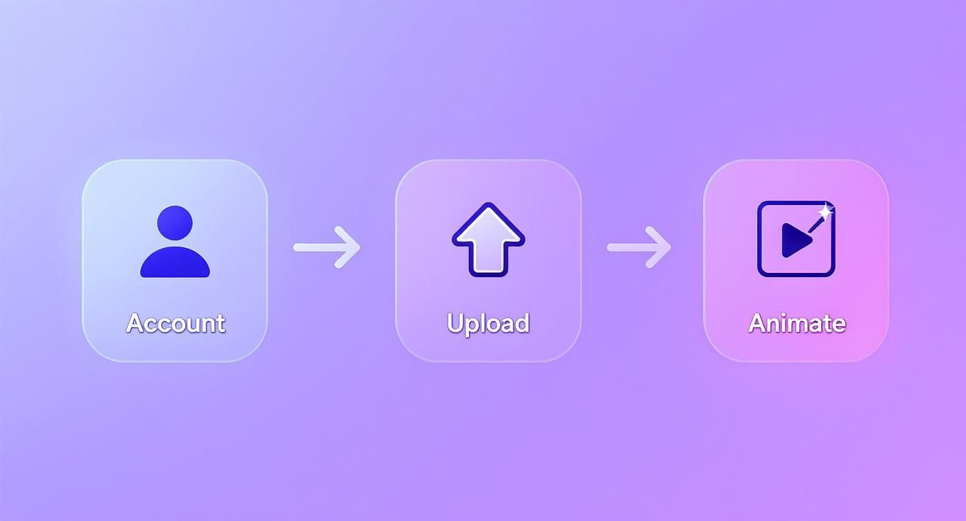 Core workflow, from setting up account to exporting  final animation.