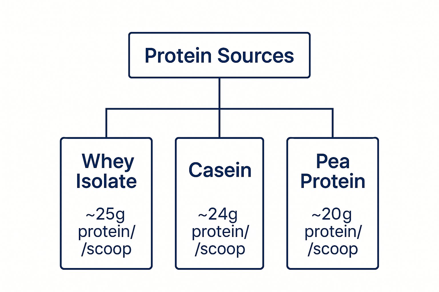 Table comparing whey isolate, whey concentrate and casein: absorption speed, best use and suggested servings