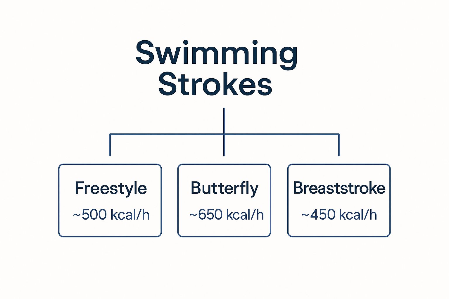 Diagram showing relative energy cost of freestyle, backstroke, breaststroke, and butterfly over 60 minutes
