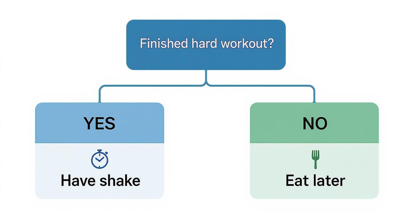 Infographic decision tree about when to take protein shakes after a workout.