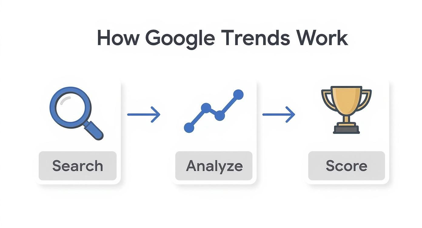 Infographic about google trends
