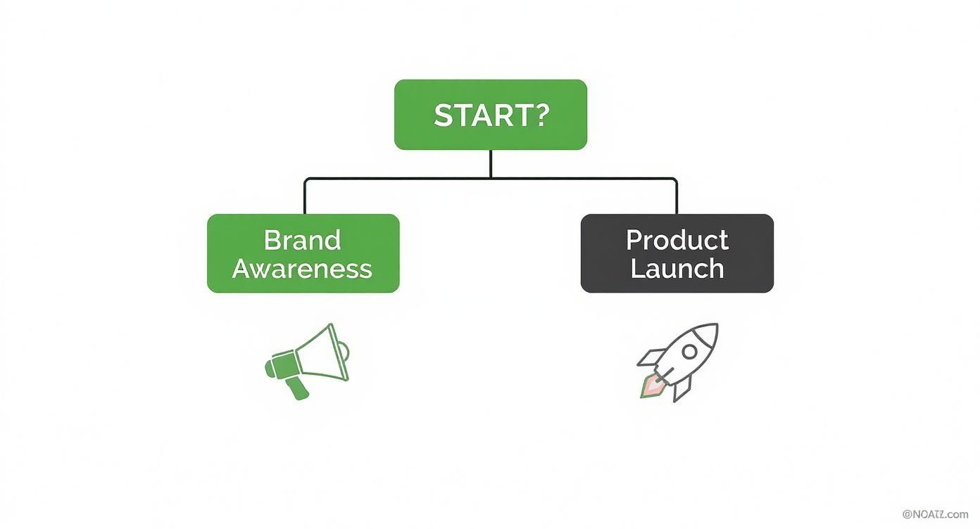 Flowchart showing a 'START?' decision point leading to 'Brand Awareness' or 'Product Launch'.