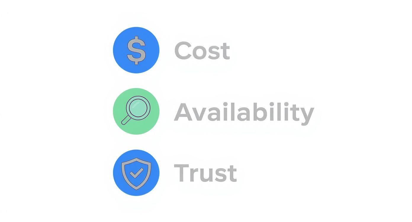 Infographic about com vs com au what should you choose