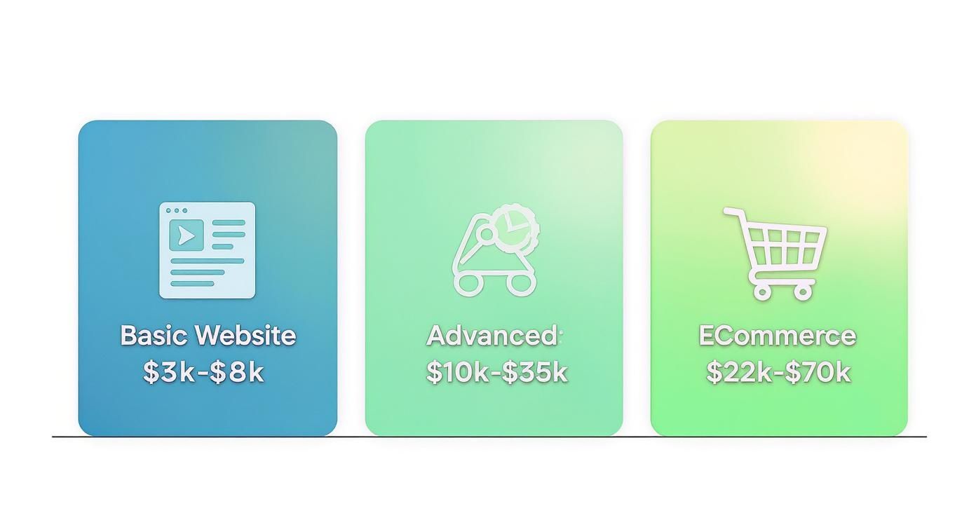 Infographic about website design cost australia