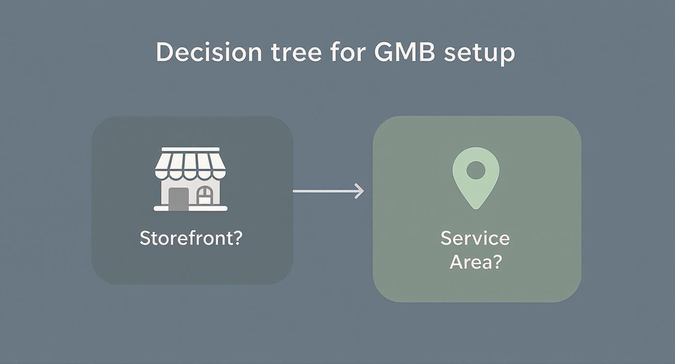 Infographic about how to setup google my business