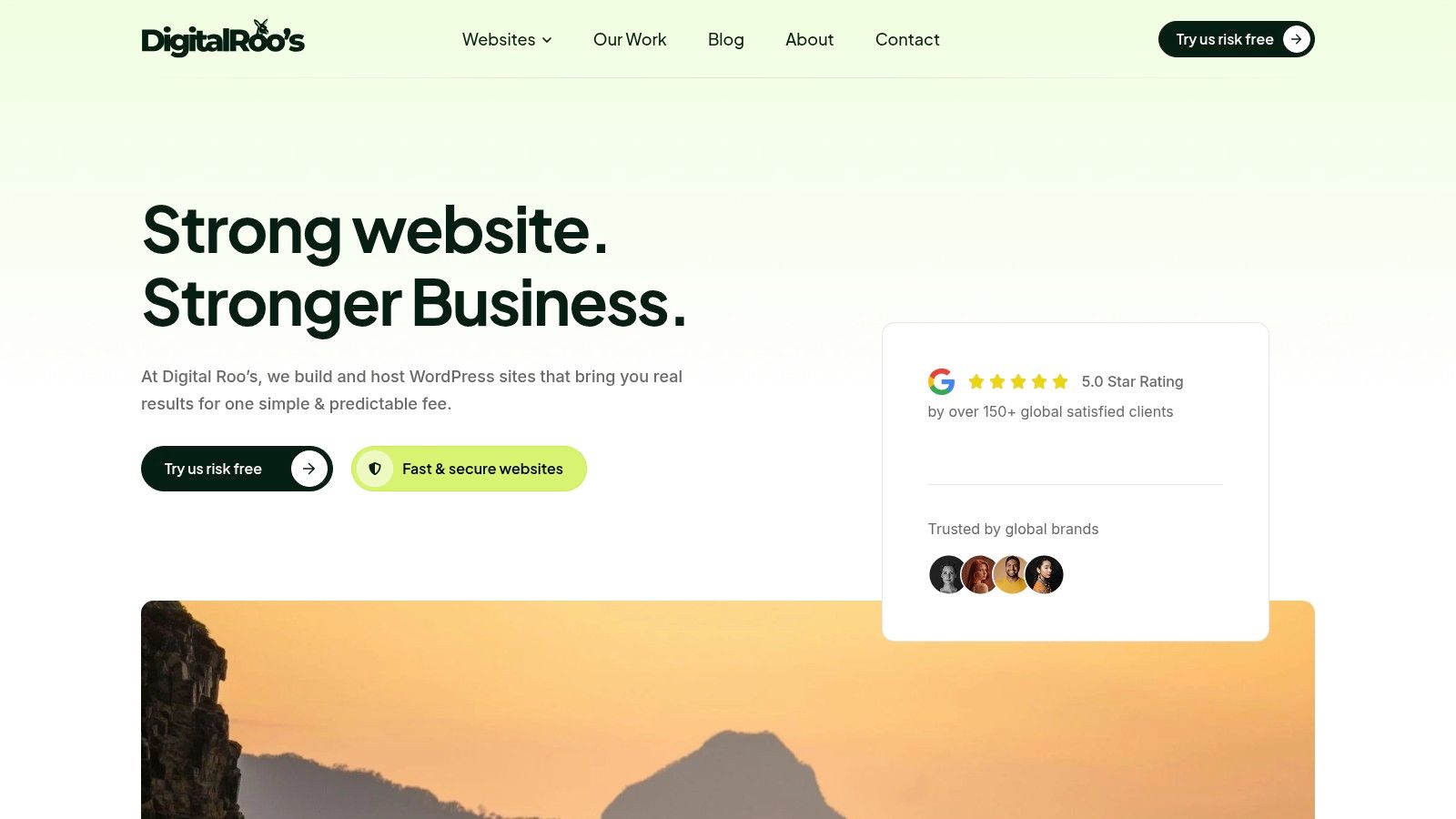 Digital Roo's website homepage showing a modern design and call to action