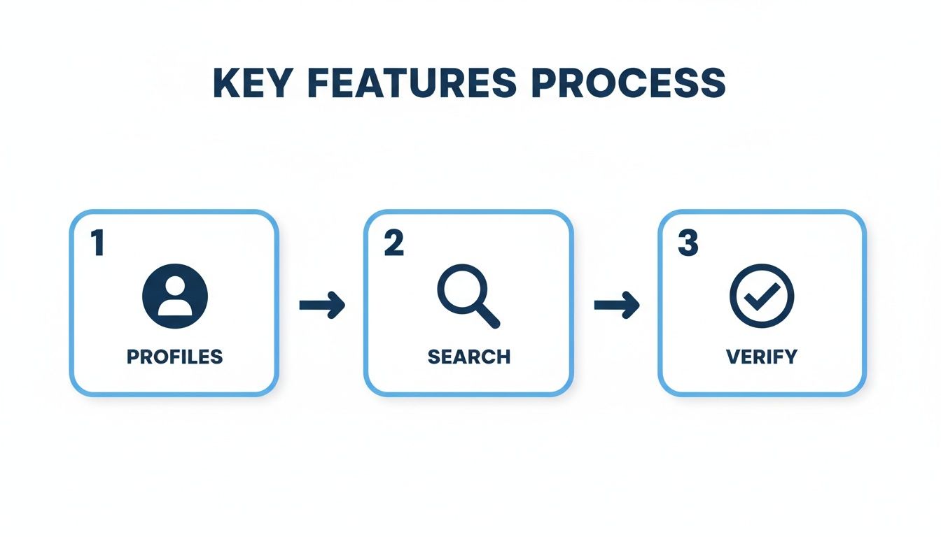 A diagram illustrating a three-step key features process: Profiles, Search, and Verify, with icons.