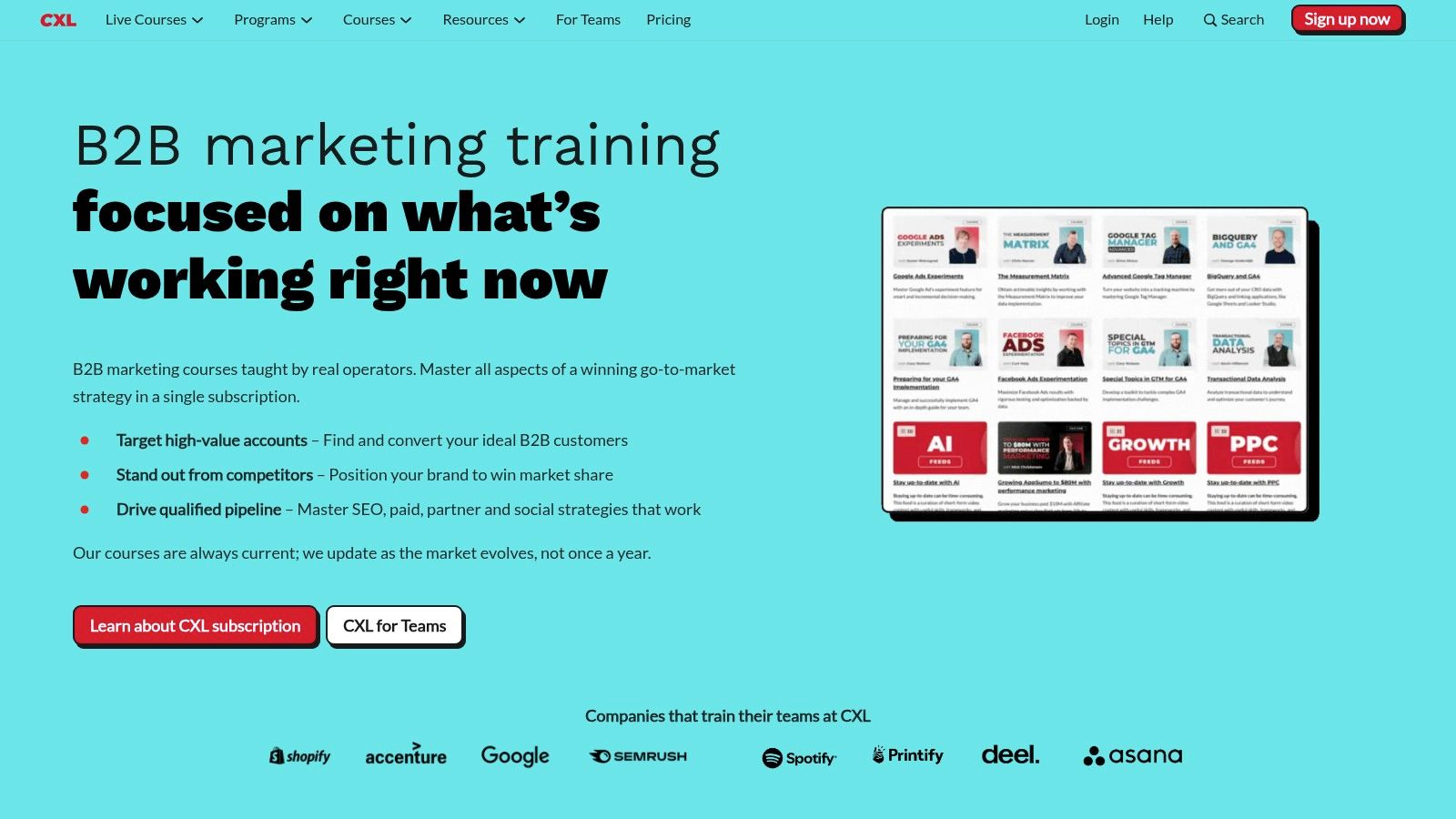 CXL (Institute) – Content and Product Marketing Programs