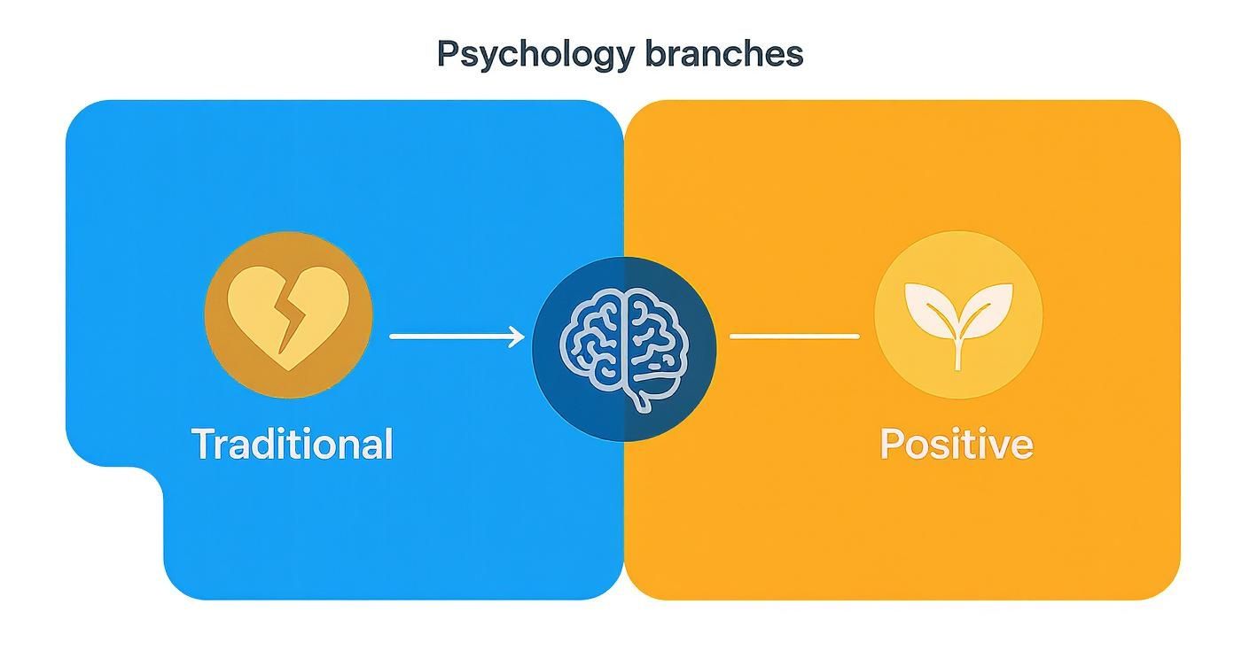 Infographic illustrating psychology branches: traditional (broken heart) evolving into positive psychology (sprout) via the brain.