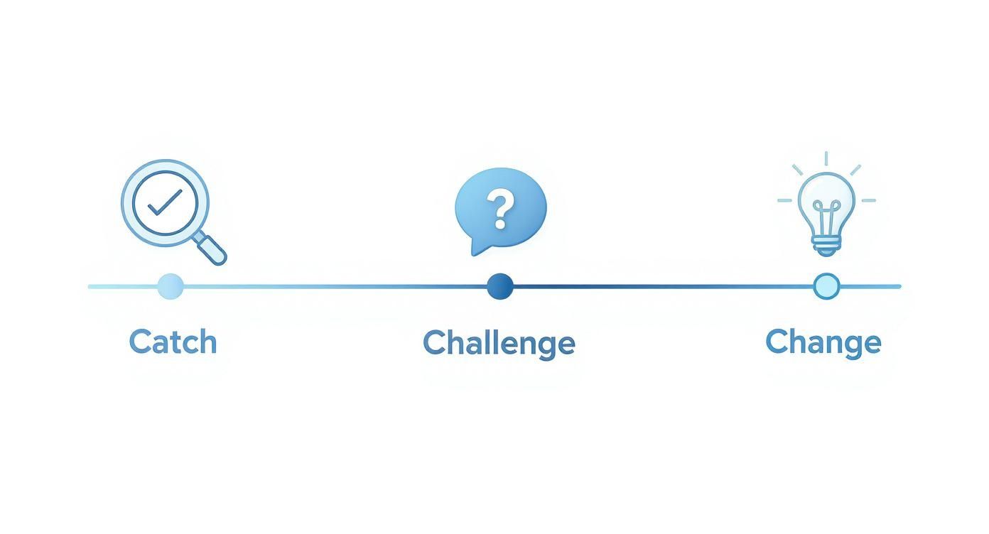 Three stage process diagram showing catch, challenge, and change steps with magnifying glass, question mark, and lightbulb icons